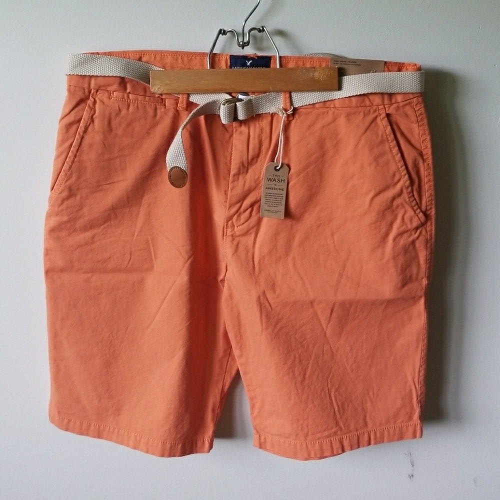 American Eagle Flat Front Shorts